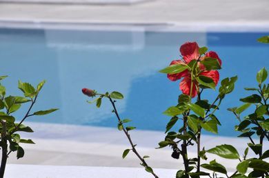 Hotel Ionathan Koufonisia